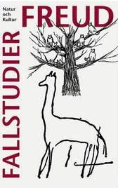 Fallstudier