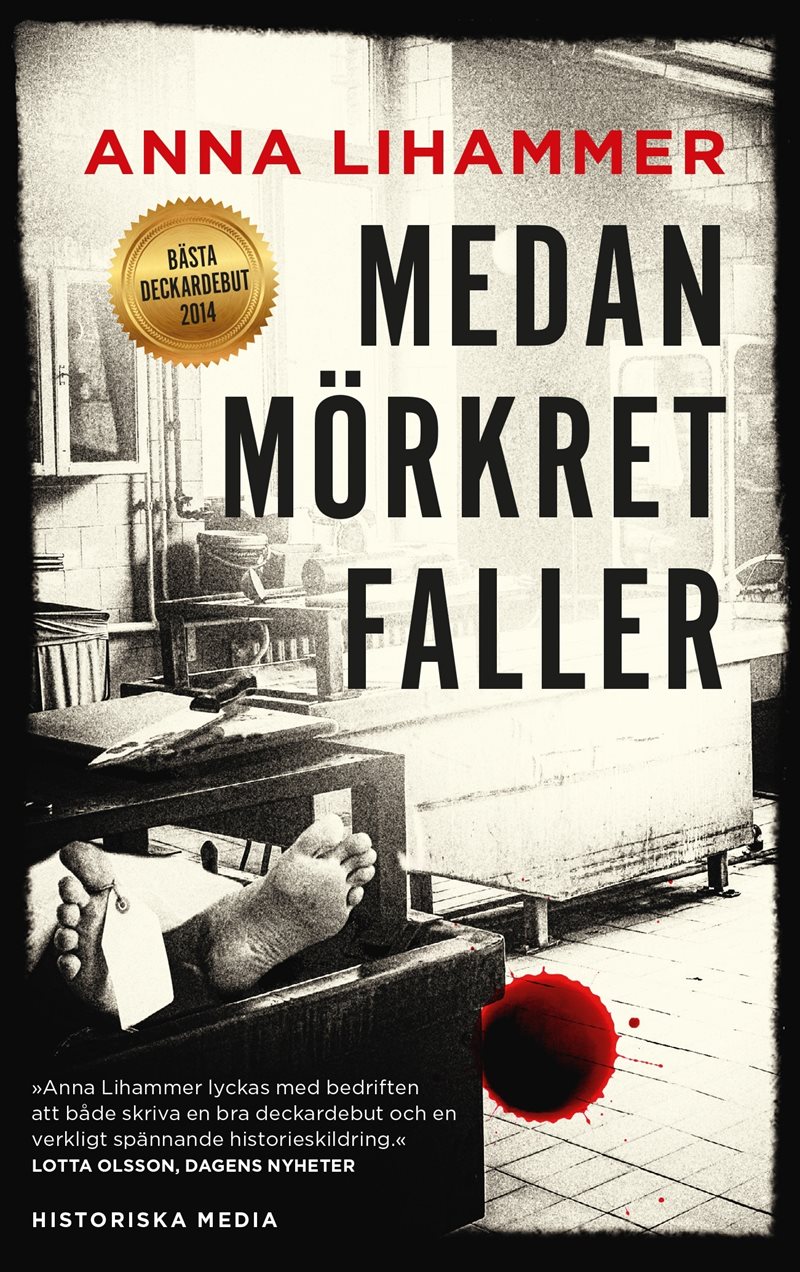 Medan mörkret faller