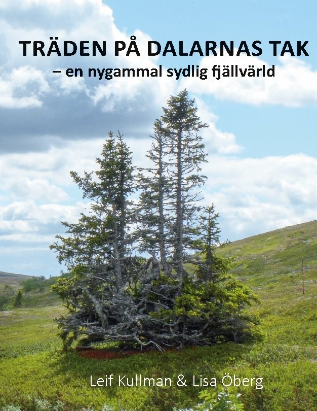Träden på Dalarnas tak : en nygammal sydlig fjällvärld