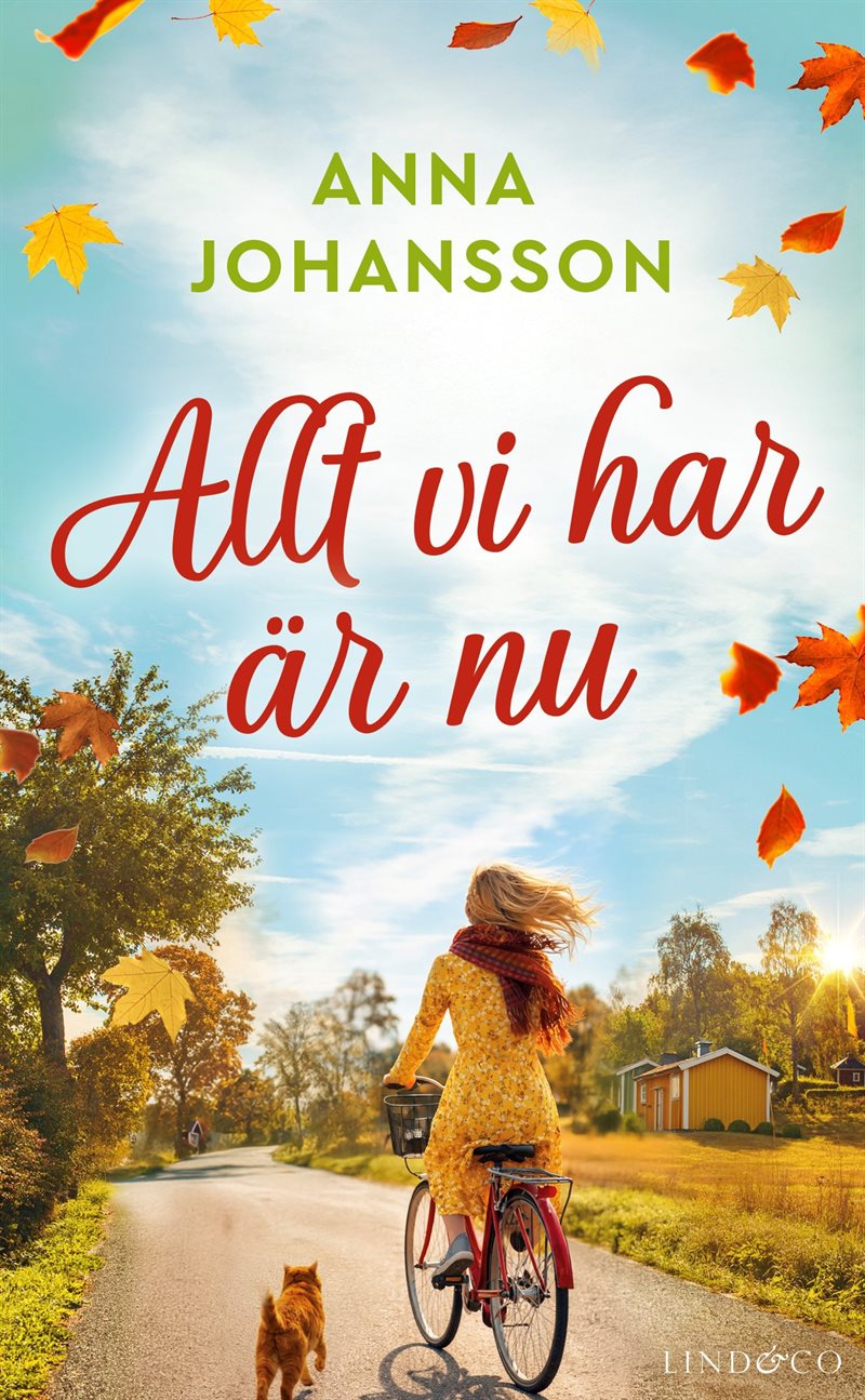 Allt vi har är nu