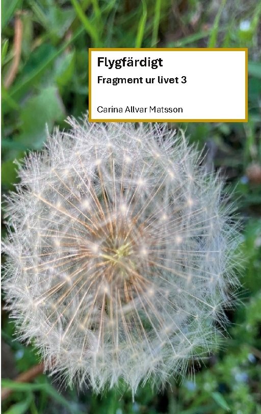 Flygfärdigt : Fragment ur livet 3