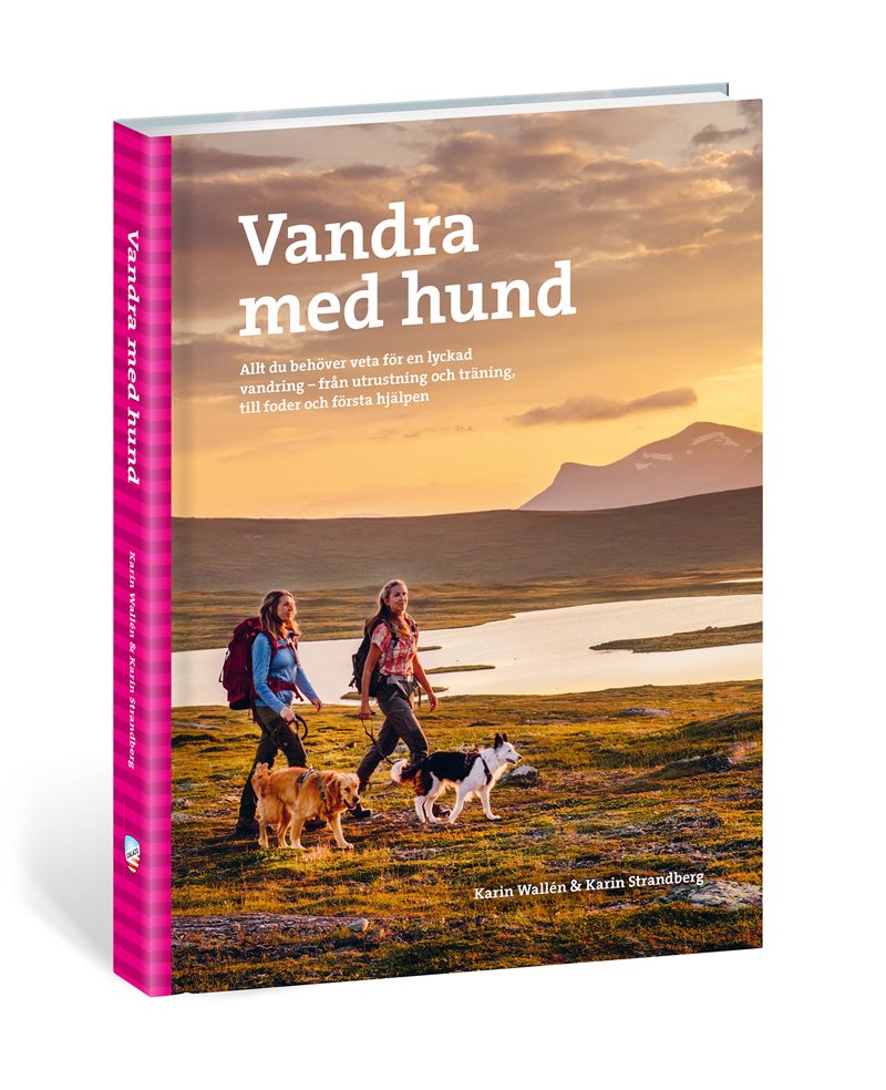 Vandra med hund