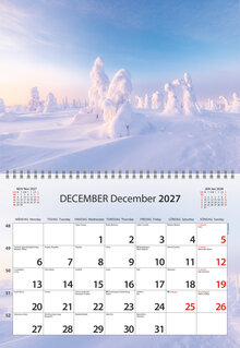 Väggkalender - Månadskalendern FSC