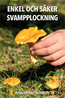 Enkel och säker svamplockning